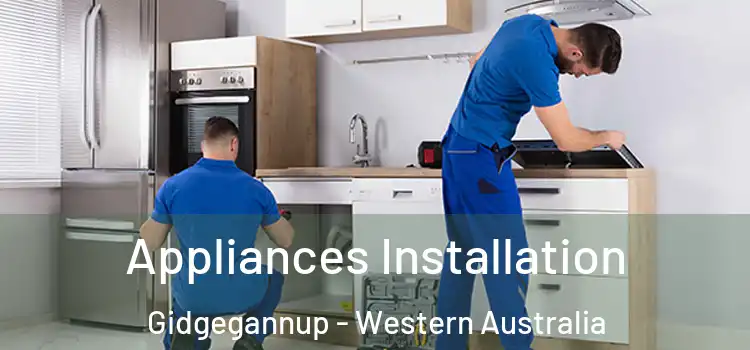 Appliances Installation Gidgegannup - Western Australia