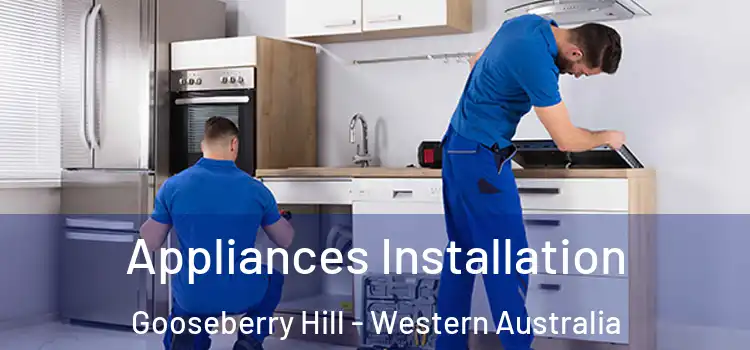 Appliances Installation Gooseberry Hill - Western Australia