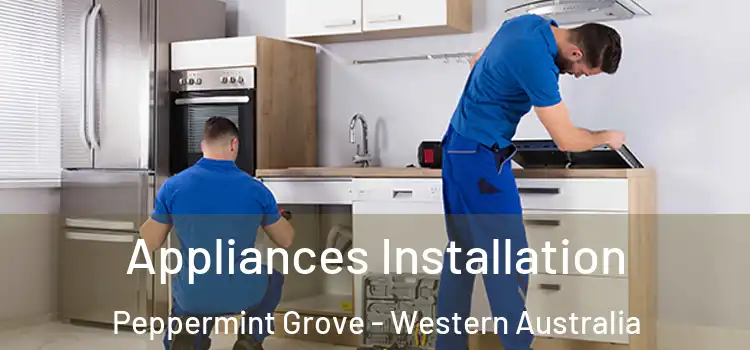 Appliances Installation Peppermint Grove - Western Australia