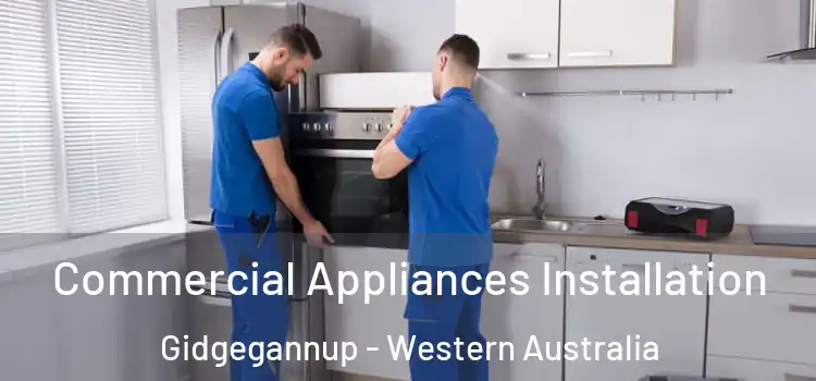 Commercial Appliances Installation Gidgegannup - Western Australia