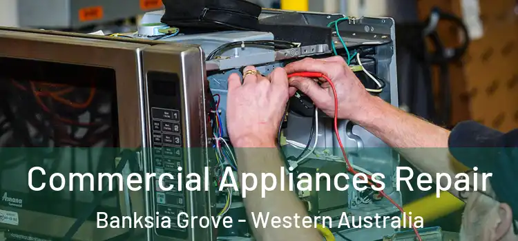 Commercial Appliances Repair Banksia Grove - Western Australia