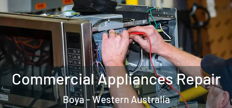 Commercial Appliances Repair Boya - Western Australia