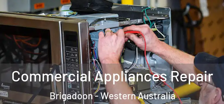 Commercial Appliances Repair Brigadoon - Western Australia