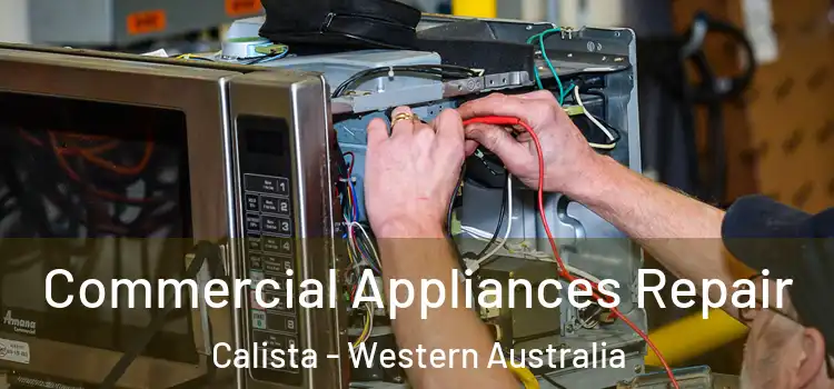 Commercial Appliances Repair Calista - Western Australia
