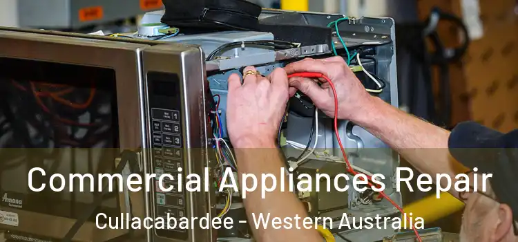 Commercial Appliances Repair Cullacabardee - Western Australia