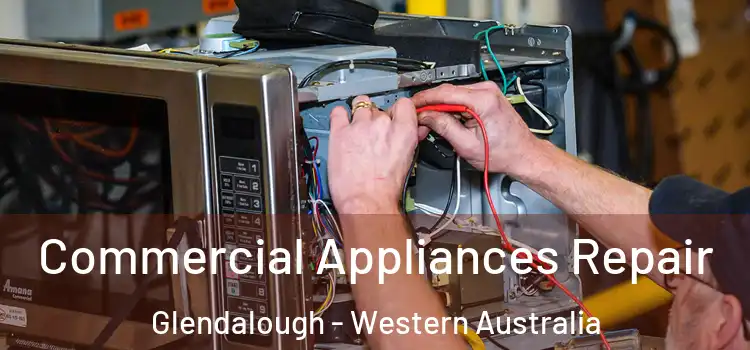 Commercial Appliances Repair Glendalough - Western Australia