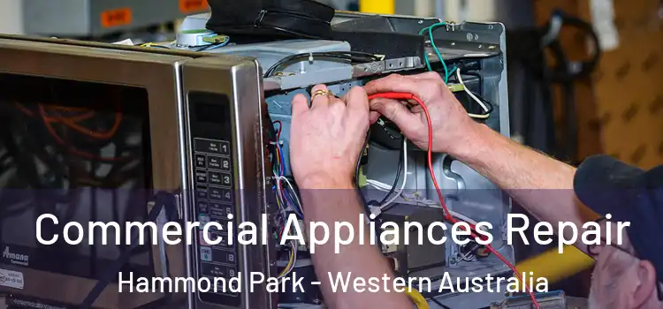 Commercial Appliances Repair Hammond Park - Western Australia