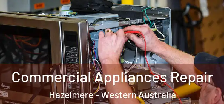 Commercial Appliances Repair Hazelmere - Western Australia