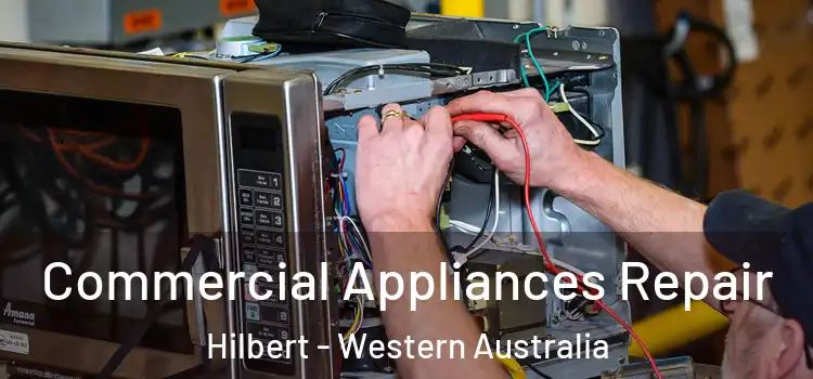 Commercial Appliances Repair Hilbert - Western Australia