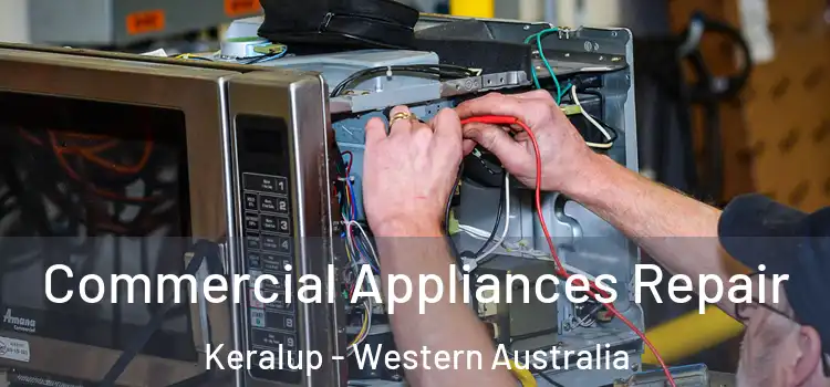 Commercial Appliances Repair Keralup - Western Australia