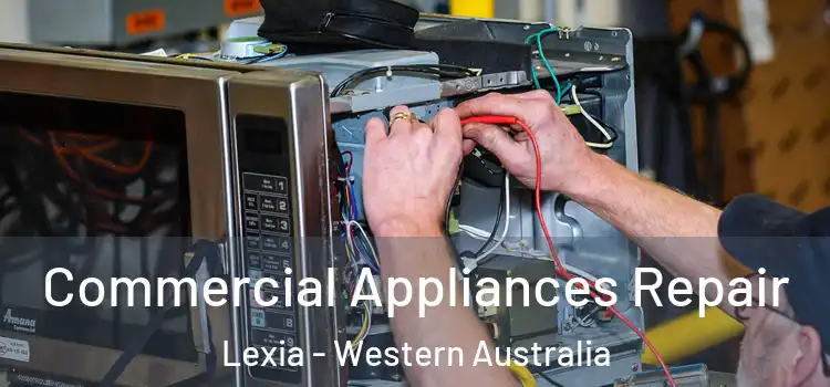 Commercial Appliances Repair Lexia - Western Australia
