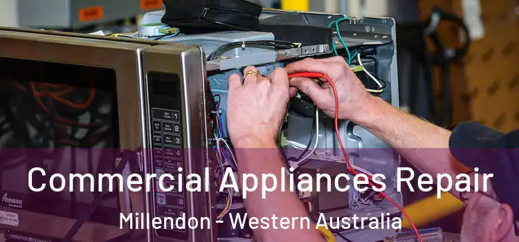Commercial Appliances Repair Millendon - Western Australia