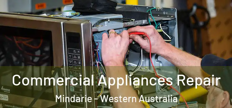 Commercial Appliances Repair Mindarie - Western Australia