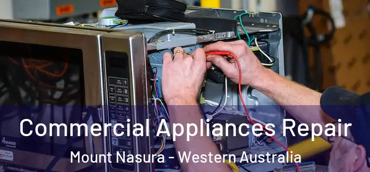 Commercial Appliances Repair Mount Nasura - Western Australia