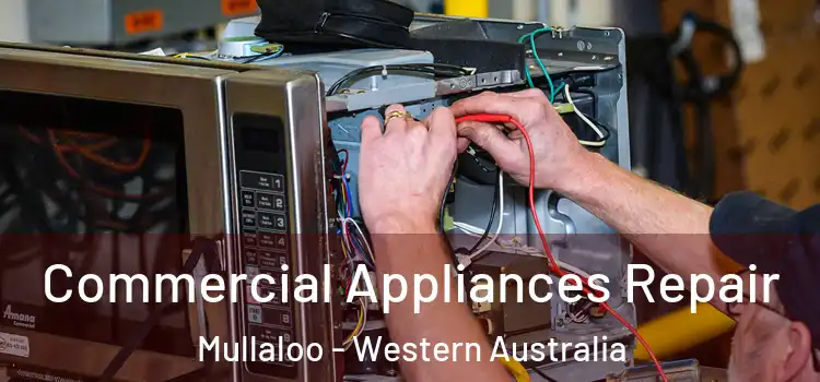 Commercial Appliances Repair Mullaloo - Western Australia
