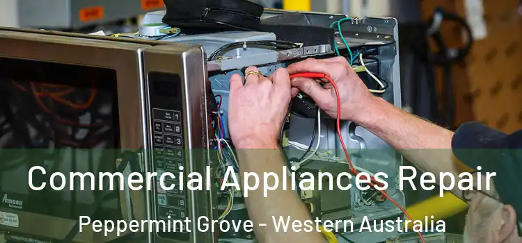 Commercial Appliances Repair Peppermint Grove - Western Australia