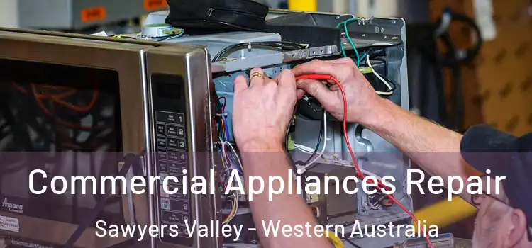 Commercial Appliances Repair Sawyers Valley - Western Australia