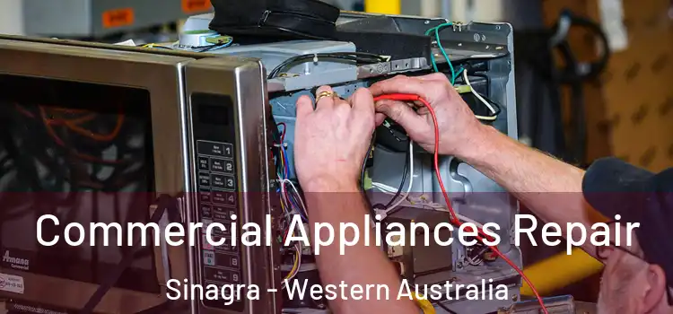 Commercial Appliances Repair Sinagra - Western Australia