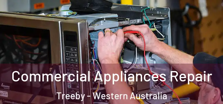 Commercial Appliances Repair Treeby - Western Australia