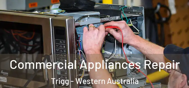 Commercial Appliances Repair Trigg - Western Australia