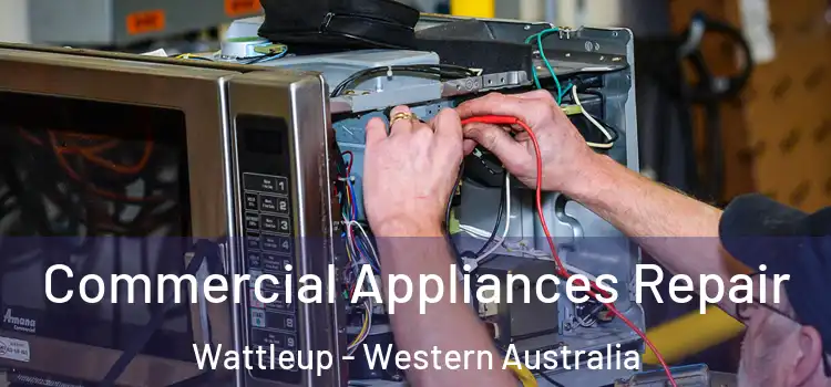 Commercial Appliances Repair Wattleup - Western Australia