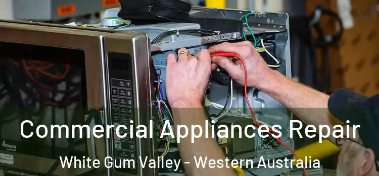 Commercial Appliances Repair White Gum Valley - Western Australia