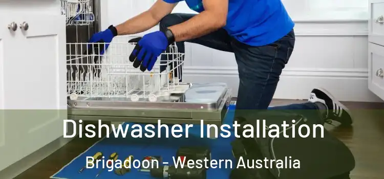 Dishwasher Installation Brigadoon - Western Australia