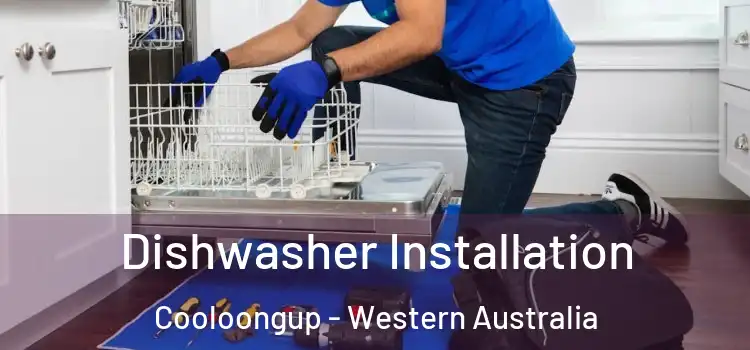 Dishwasher Installation Cooloongup - Western Australia