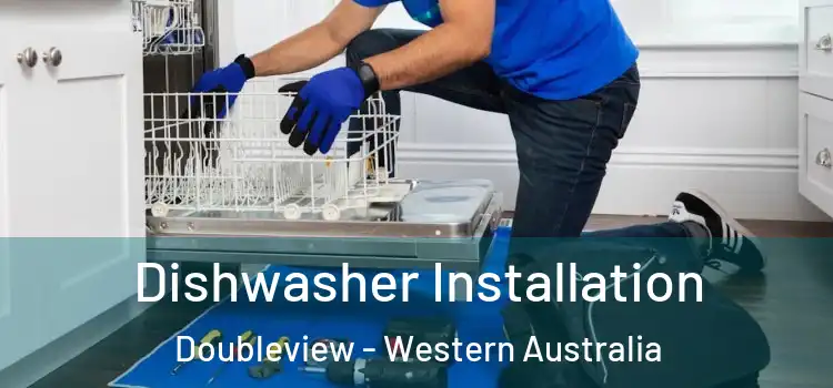 Dishwasher Installation Doubleview - Western Australia
