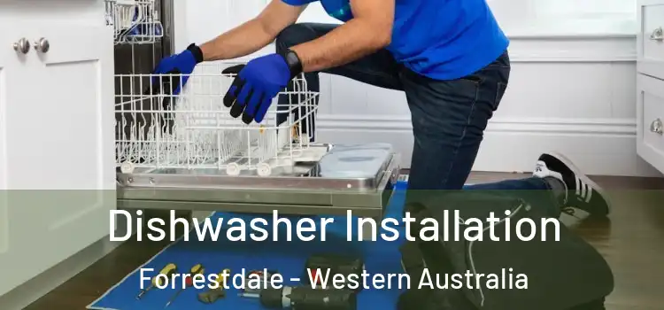 Dishwasher Installation Forrestdale - Western Australia