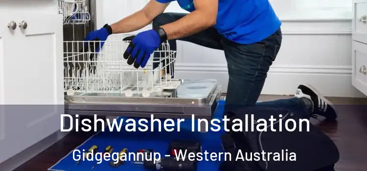Dishwasher Installation Gidgegannup - Western Australia