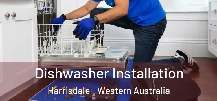 Dishwasher Installation Harrisdale - Western Australia