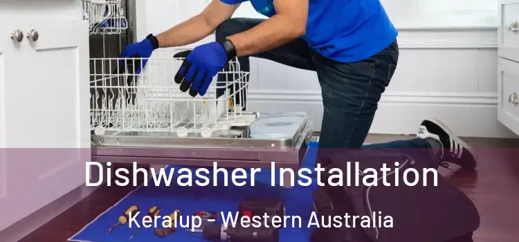 Dishwasher Installation Keralup - Western Australia