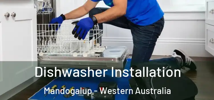 Dishwasher Installation Mandogalup - Western Australia