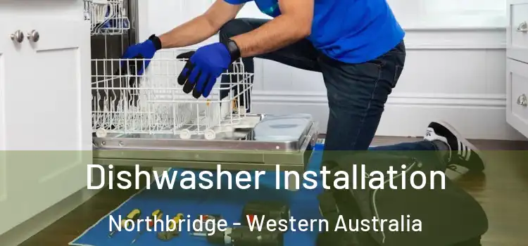 Dishwasher Installation Northbridge - Western Australia