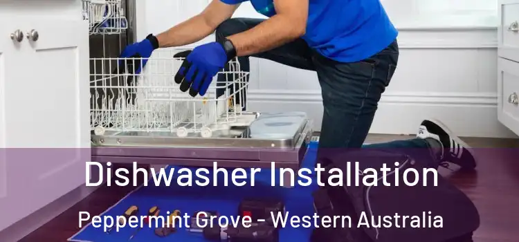 Dishwasher Installation Peppermint Grove - Western Australia