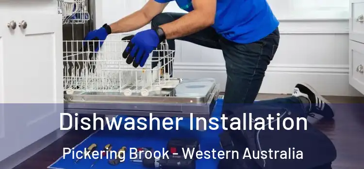 Dishwasher Installation Pickering Brook - Western Australia