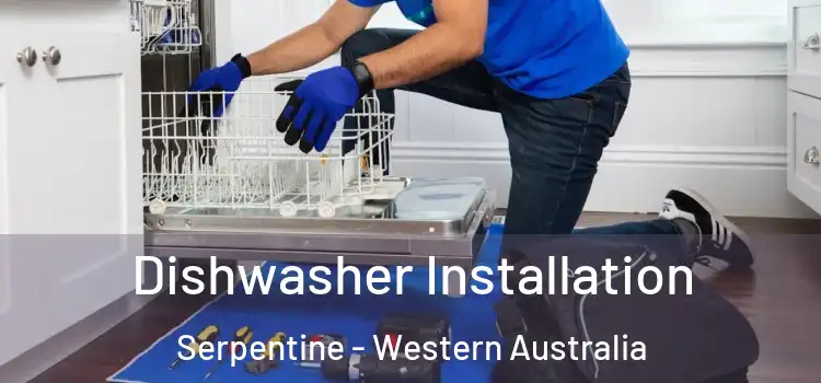 Dishwasher Installation Serpentine - Western Australia