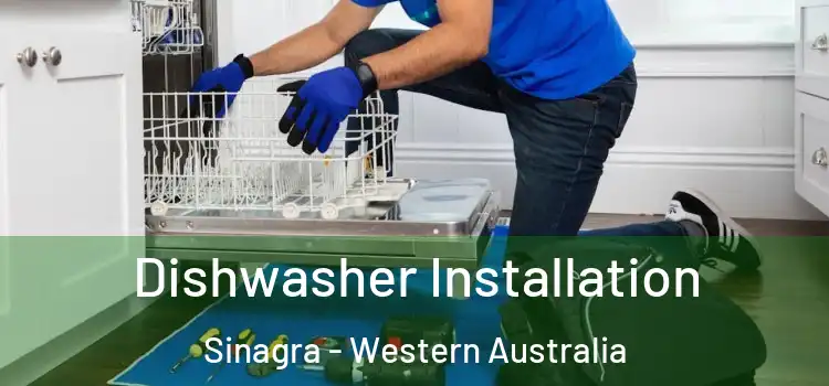 Dishwasher Installation Sinagra - Western Australia