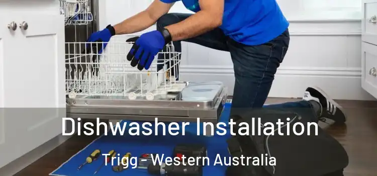 Dishwasher Installation Trigg - Western Australia