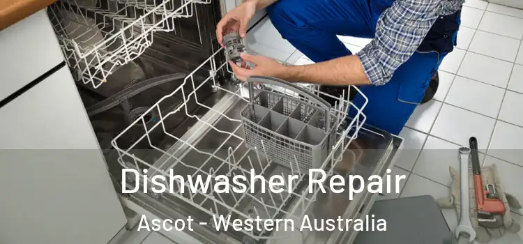 Dishwasher Repair Ascot - Western Australia