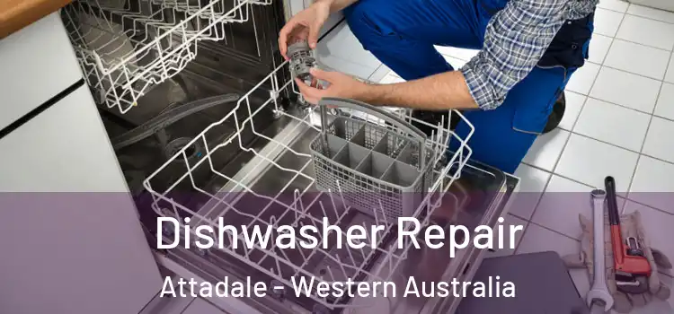 Dishwasher Repair Attadale - Western Australia