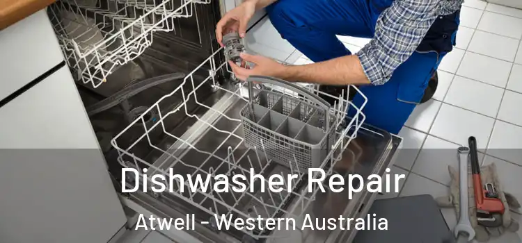 Dishwasher Repair Atwell - Western Australia
