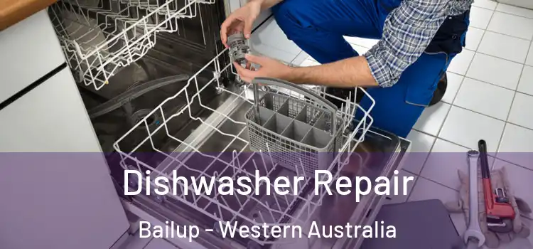 Dishwasher Repair Bailup - Western Australia