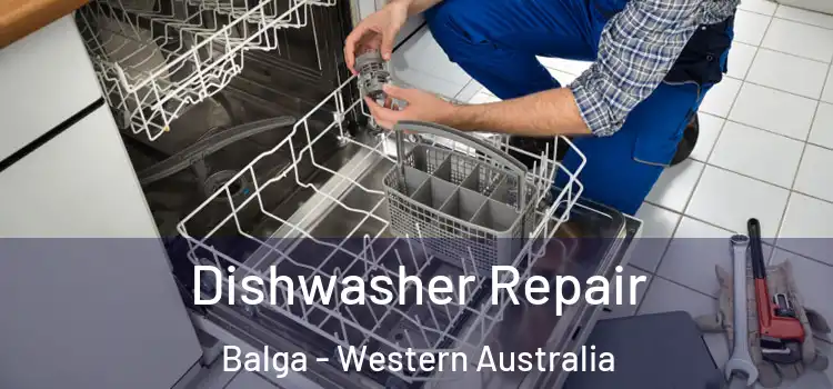 Dishwasher Repair Balga - Western Australia