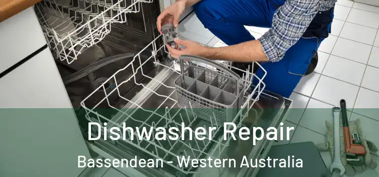Dishwasher Repair Bassendean - Western Australia