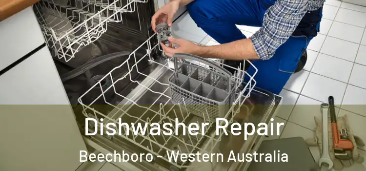 Dishwasher Repair Beechboro - Western Australia