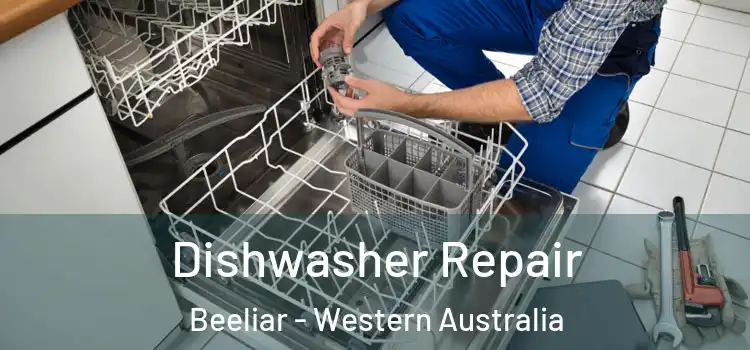 Dishwasher Repair Beeliar - Western Australia