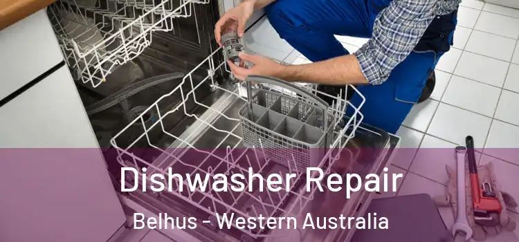 Dishwasher Repair Belhus - Western Australia