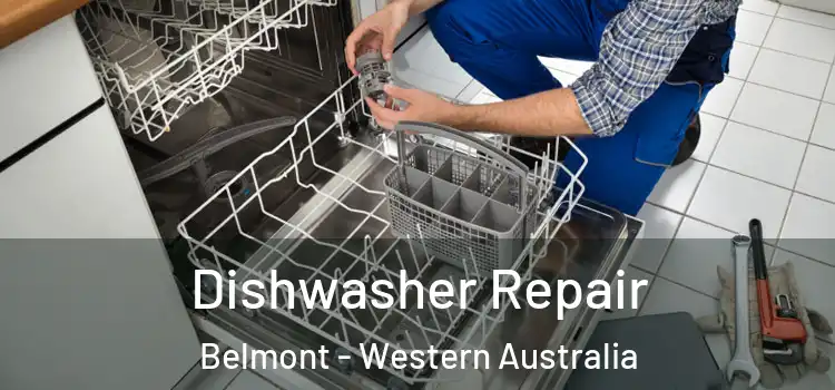 Dishwasher Repair Belmont - Western Australia